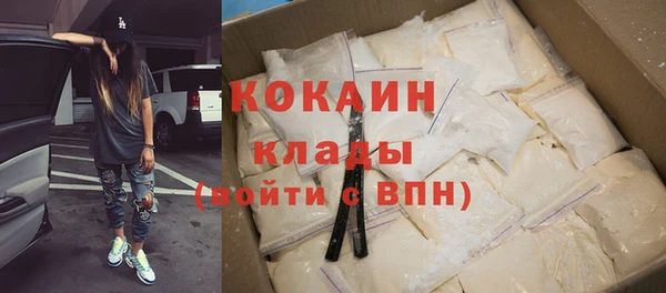 крисы Дмитров