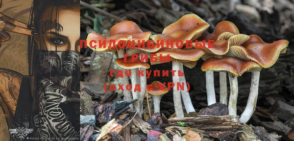 крисы Дмитров