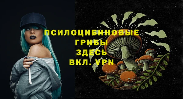 2c-b Дмитриев