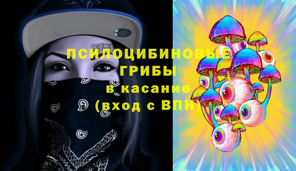 крисы Дмитров