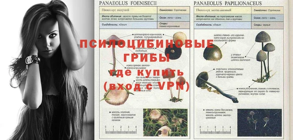 трава Ельня