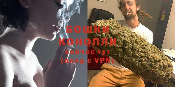 крисы Дмитров