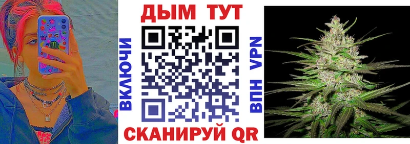 Бошки марихуана THC 21%  Купить  Нарткала 